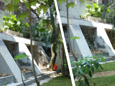 竹林小學(xué)邊坡加固